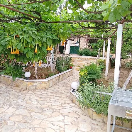 فيلة Dolce Vita *